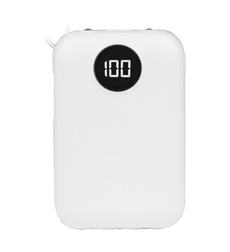 4306 POWERBANK